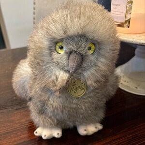 Aurora owl